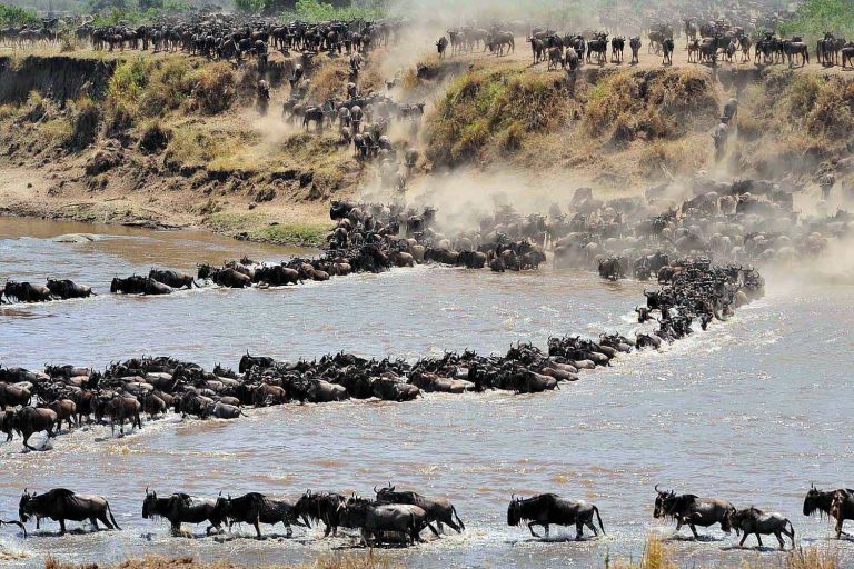 Rio mara kogatende serengeti