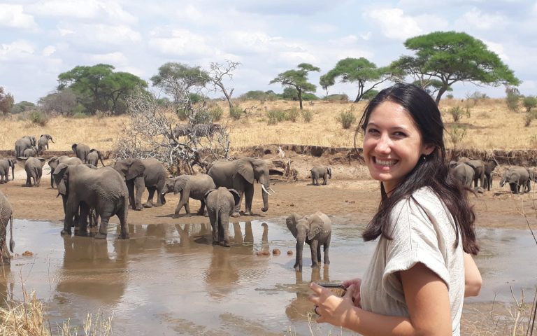 Safari a medida Tanzania